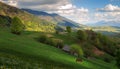 Landscape with a horse in the Carpathian mountains