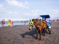 Horse driver waits for passengers on Parangtritis beach tours
