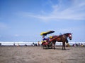 Landscape Horse driver waiting for passengers on Parangtritis beach tourism