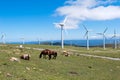 Landscape with horses, wind turbines for electric power generation Royalty Free Stock Photo