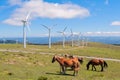 Landscape with horses, wind turbines for electric power generation, blue sky and clouds.