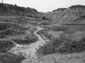 Landscape of horshoe canyon Royalty Free Stock Photo