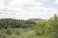 Landscape Horta de Sant Joan