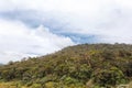 Landscape in Horton Plains National Park, Sri Lanka.