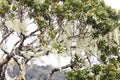 Landscape in Horton Plains National Park, Sri Lanka.