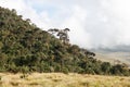 Landscape in Horton Plains National Park, Sri Lanka.