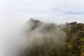 Landscape in Horton Plains National Park, Sri Lanka.