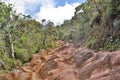 Landscape. Horton Plains. Sri Lanka