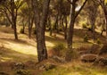 Landscape and Hoyo de Pinares reservoir, drought due to climate change. Royalty Free Stock Photo