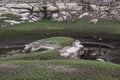 Landscape and Hoyo de Pinares reservoir, drought due to climate change. Royalty Free Stock Photo