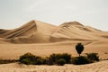 Landscape of Huacachina desert. in Ica, Peru.