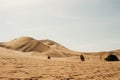 Landscape of Huacachina desert. in Ica, Peru.