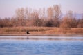 Landscape with a huge lake at the end of the autumn season. rocky mountains and high forests on the distant horizon. silhouettes o Royalty Free Stock Photo