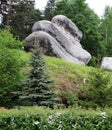 Landscape, huge stones against the background of green forest, interesting texture