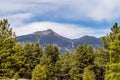 Landscape with Humphreys Peak Tallest in Arizona Royalty Free Stock Photo
