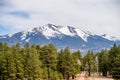 Landscape with Humphreys Peak Tallest in Arizona Royalty Free Stock Photo