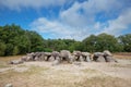 Landscape with Hunebed D53 or dolmen, D53, in the province of Drenthe, the Netherlands Royalty Free Stock Photo