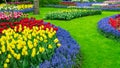 Landscape ideas for spring gardens. Scenery photo with original circular flower beds in Keukenhof Garden, Amsterdam. Tulips and Royalty Free Stock Photo