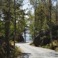 Landscape with idyllic road