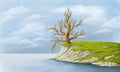 Landscape illustration. Lonely old bare tree on a rocky seashore