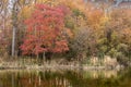 Landscape image of the autumn trees surrounding Saltpeter creek at the Marshy Point Nature Center in Middle River, Maryland.