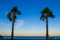 Landscape Image of the Beach in Calabria in the Evening, at Sunset. Green Landscape with a Row of Palm Trees and Fabulous Sky, Sea Royalty Free Stock Photo