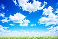 a beautiful blue sky and a white cloud. Royalty Free Stock Photo