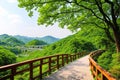 The Korean summer scenery is beautiful.