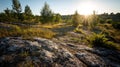 Sunrise over rocky terrain with trees and grass landscape view. Royalty Free Stock Photo