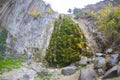 Landscape image of columnar jointing of basalt rocks and foliage in Boyabat, Sinop, Turkey, at a sunny day Royalty Free Stock Photo