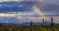 Landscape Image Of Desert Rainbow With Cactus Royalty Free Stock Photo