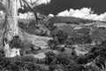 Dramatic black and white image of mountain countryside of fields and farms in the caribbean, dominican republic.