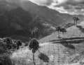 Dramatic black and white image of mountain countryside of fields and farms in the caribbean, dominican republic.