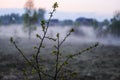 image of fog on lake Seliger in Russia Royalty Free Stock Photo