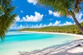 The coconut palm trees overlook the Flamenco beach.