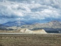 Landscape image of Mackenzie Country plains in New Zealand with scattered sheep and cloudy sky Royalty Free Stock Photo