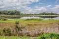 Landscape image of the marsh (with a sky reflection) at Bombay Hook Wildlife Refuge NWR Royalty Free Stock Photo