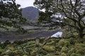 Landscape image of mountain reflected in still lake on Summer mo Royalty Free Stock Photo