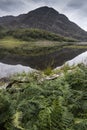 Landscape image of mountain reflected in still lake on Summer mo Royalty Free Stock Photo