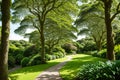 sub-tropical trees in Cornwall, UK.