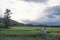 Landscape image of the rice field and mountain with sunset sky b Royalty Free Stock Photo