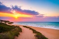 a view of a bright sky over the sea and wood. Royalty Free Stock Photo