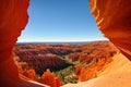 a view from the mossy cave on the canyon.