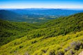 The view from Volcan Mountain, California and beyond. Royalty Free Stock Photo