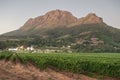 Landscape image of a vineyard, Stellenbosch, South Africa. Royalty Free Stock Photo