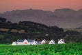 Landscape image of a vineyard, Stellenbosch, South Africa. Royalty Free Stock Photo