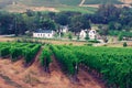 Landscape image of a vineyard, Stellenbosch, South Africa. Royalty Free Stock Photo