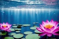 Water lilies Capture the beauty of the underwater world made with generative ai