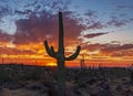 Vibrant & Fiery Sunset With Saguaro Cactus In Scottsdale AZ