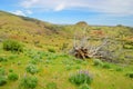 Landscape. Indian reservation. Oregon. USA Royalty Free Stock Photo